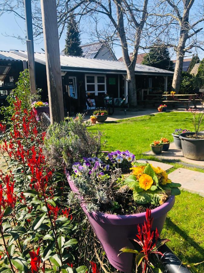 B &B Yuupke Maasbree Noord-Limburg Venlo Roermond Bed & Breakfast Exterior photo