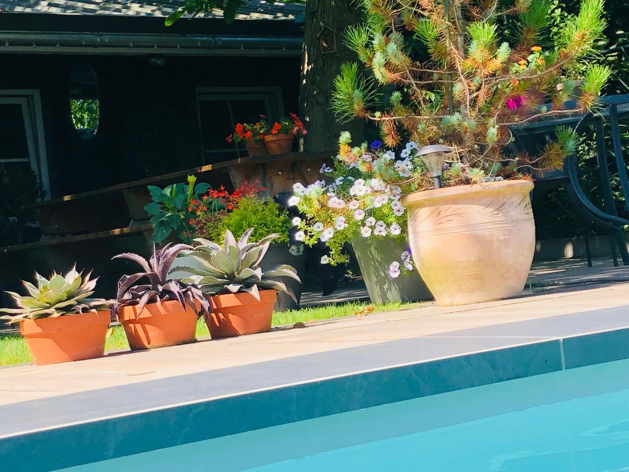 B &B Yuupke Maasbree Noord-Limburg Venlo Roermond Bed & Breakfast Exterior photo
